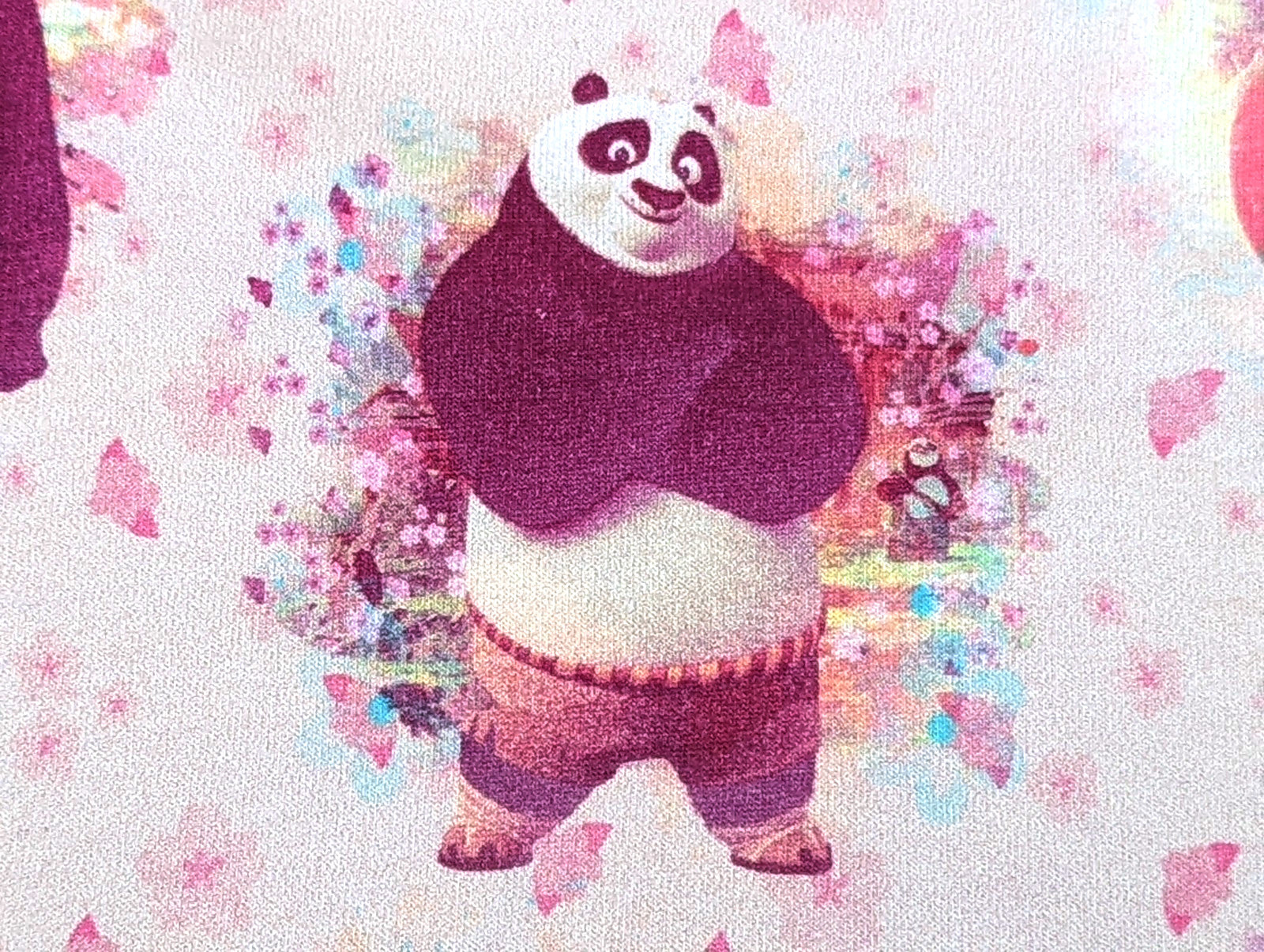 French Terry Kung Fu Panda auf Ecru/Rosa