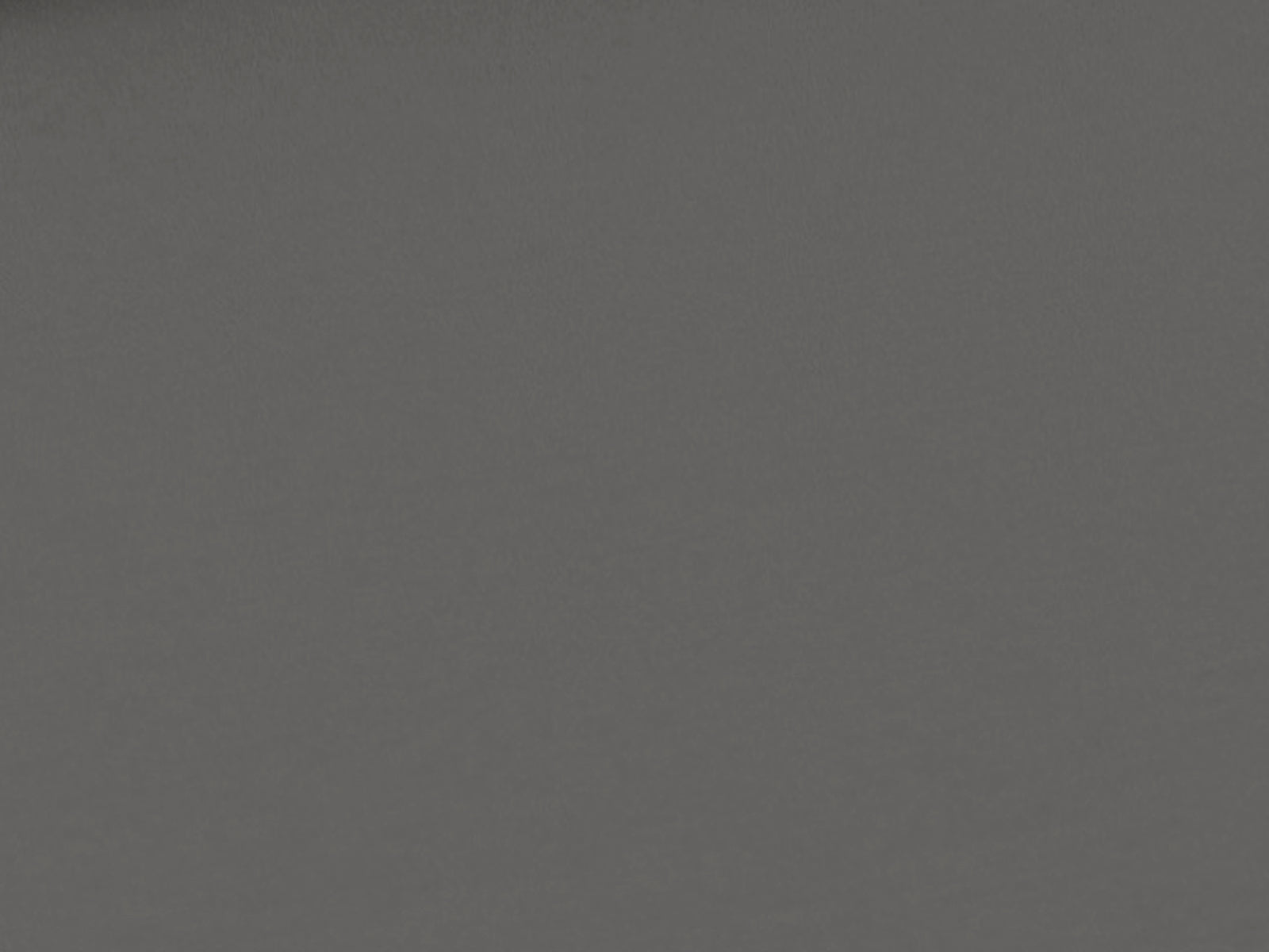 Baumwolljersey Uni Grau