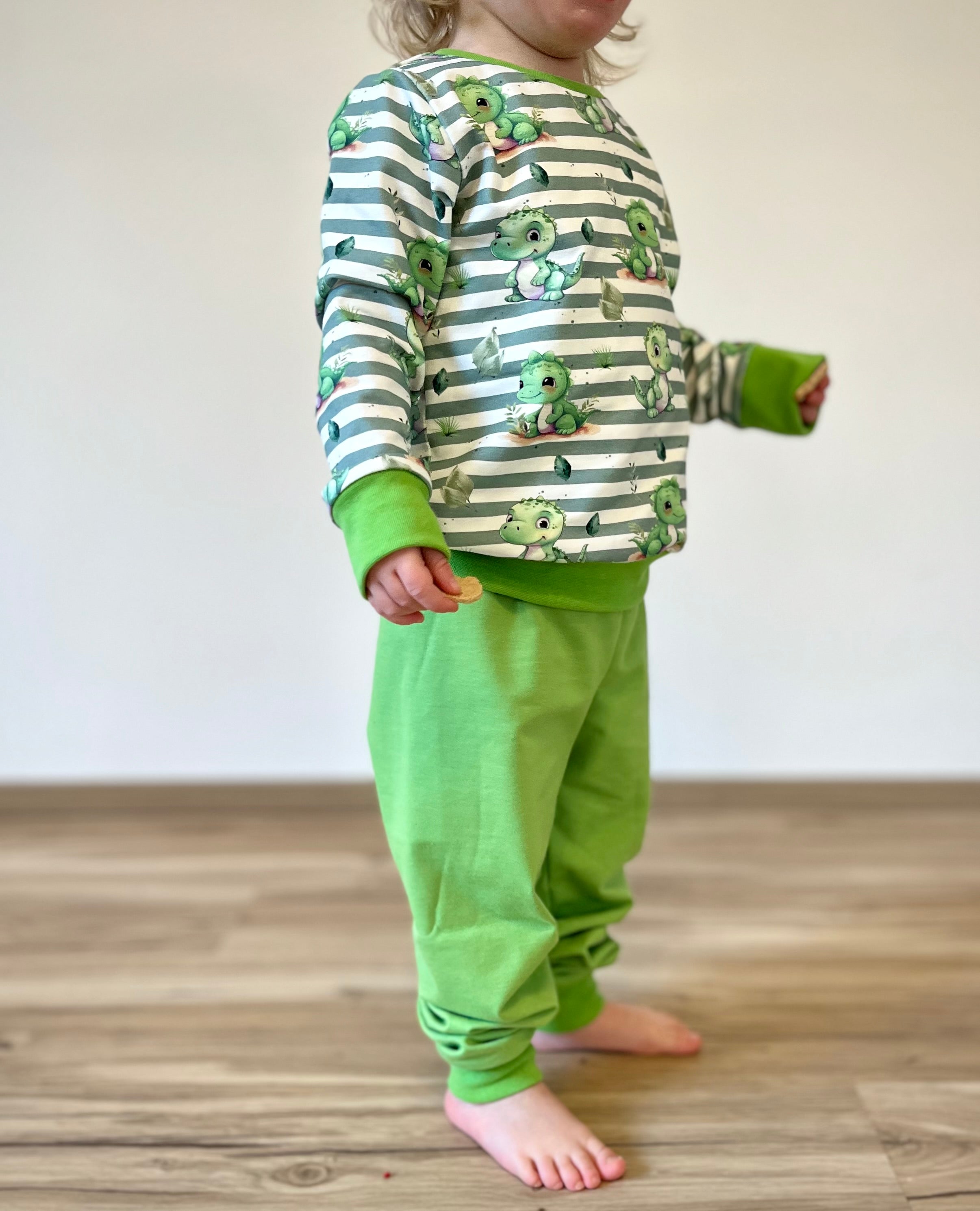 Eigenproduktion Baumwolljersey Kleiner Dino auf Grün